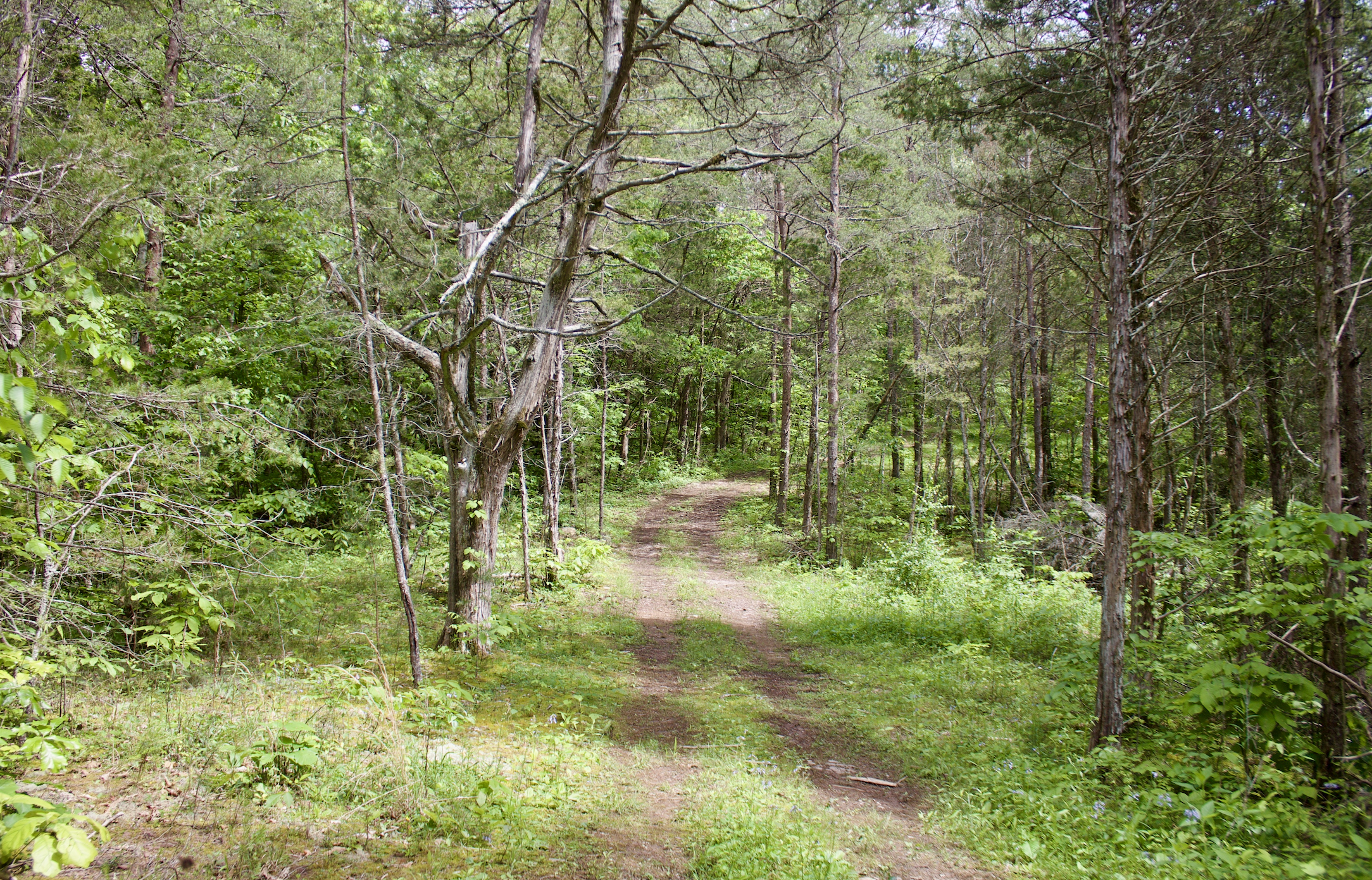 Hiking