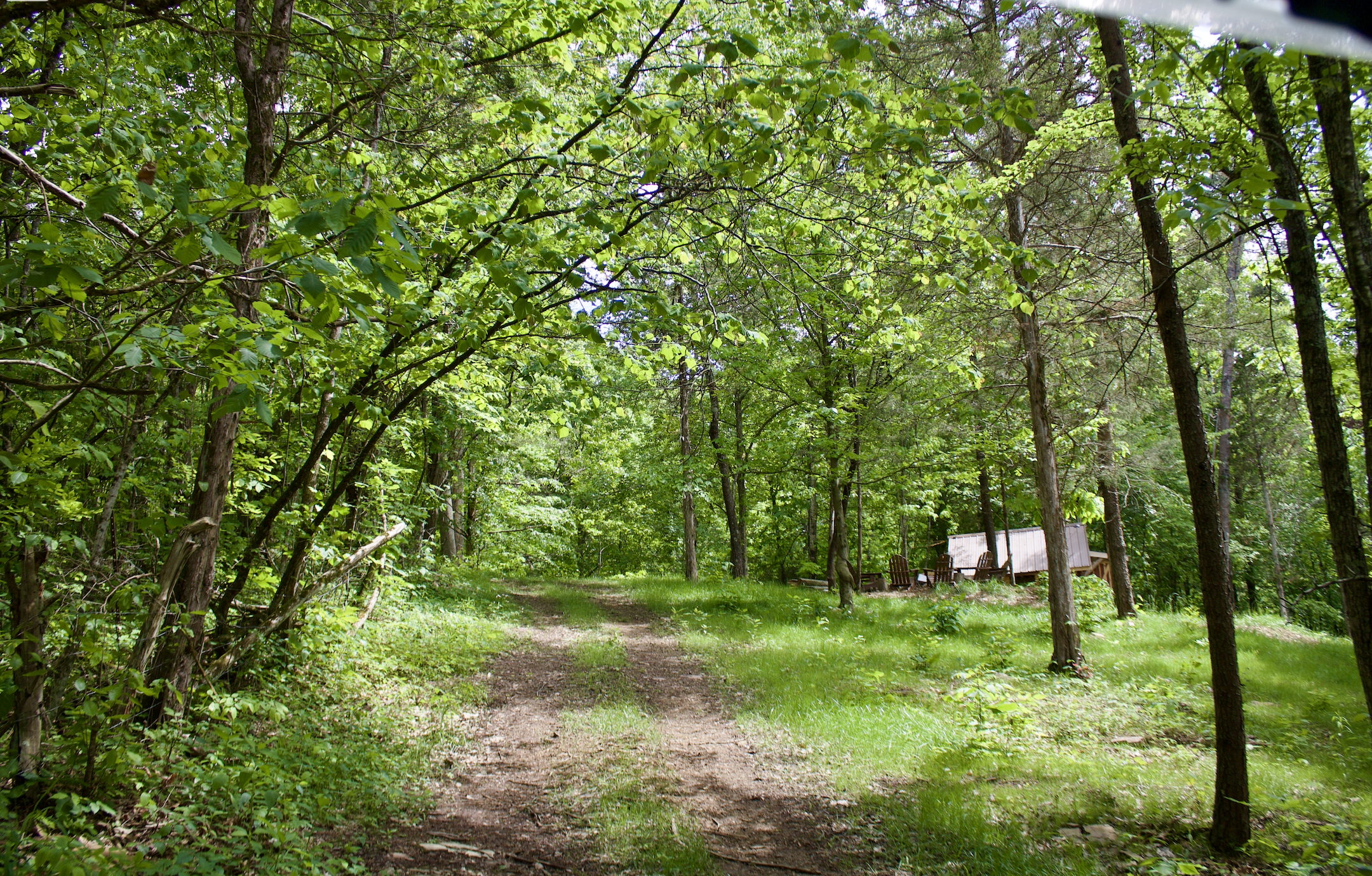 Hiking