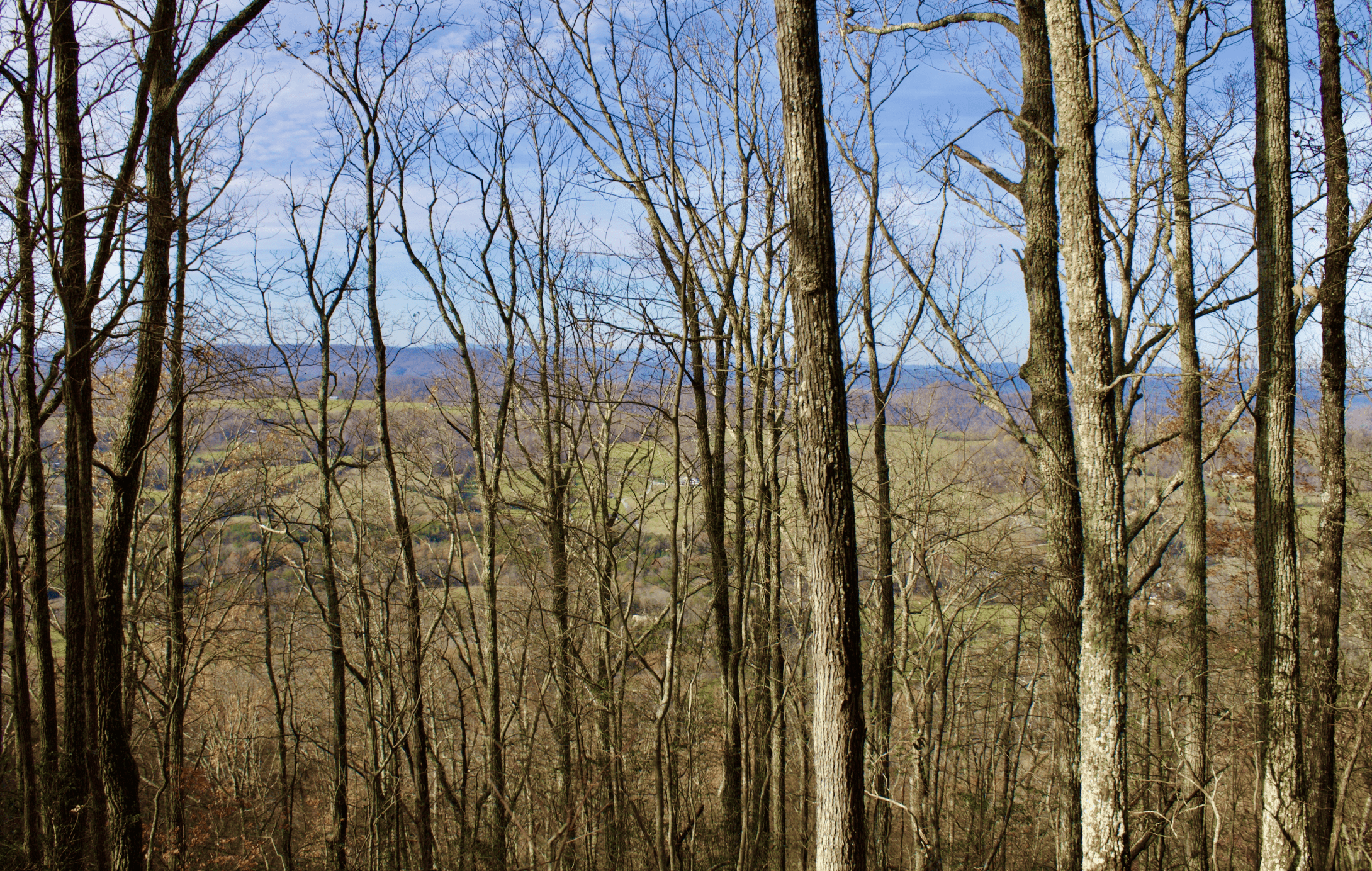 Hiking